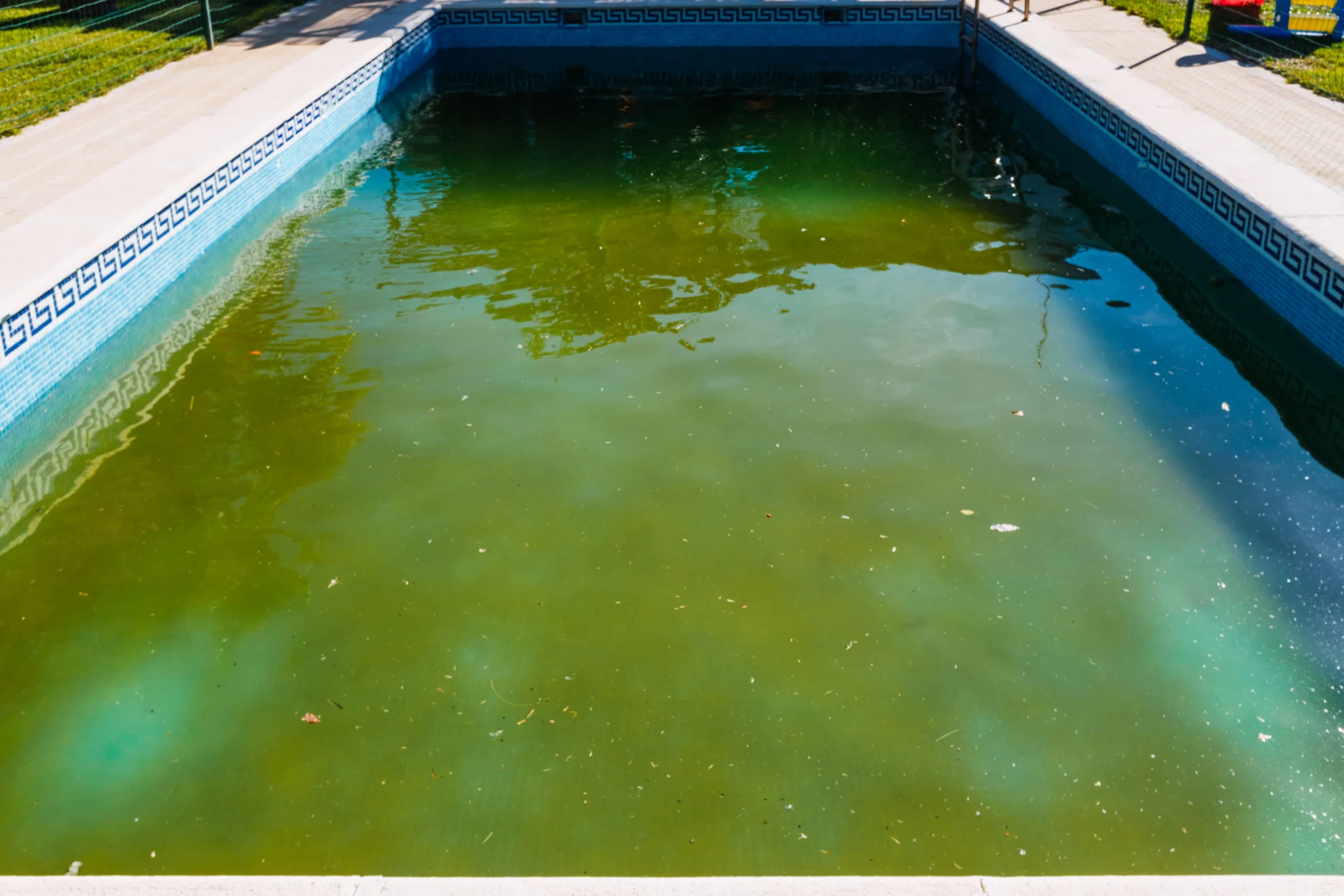 Swimming Pool Specialists in Singapore: Complete Guide for Pool Owners Swimming Pool Specialists